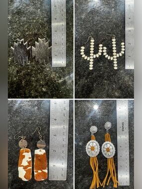 Western Statement Earring Bundle